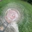 Small image 7
