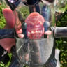 Small image 4