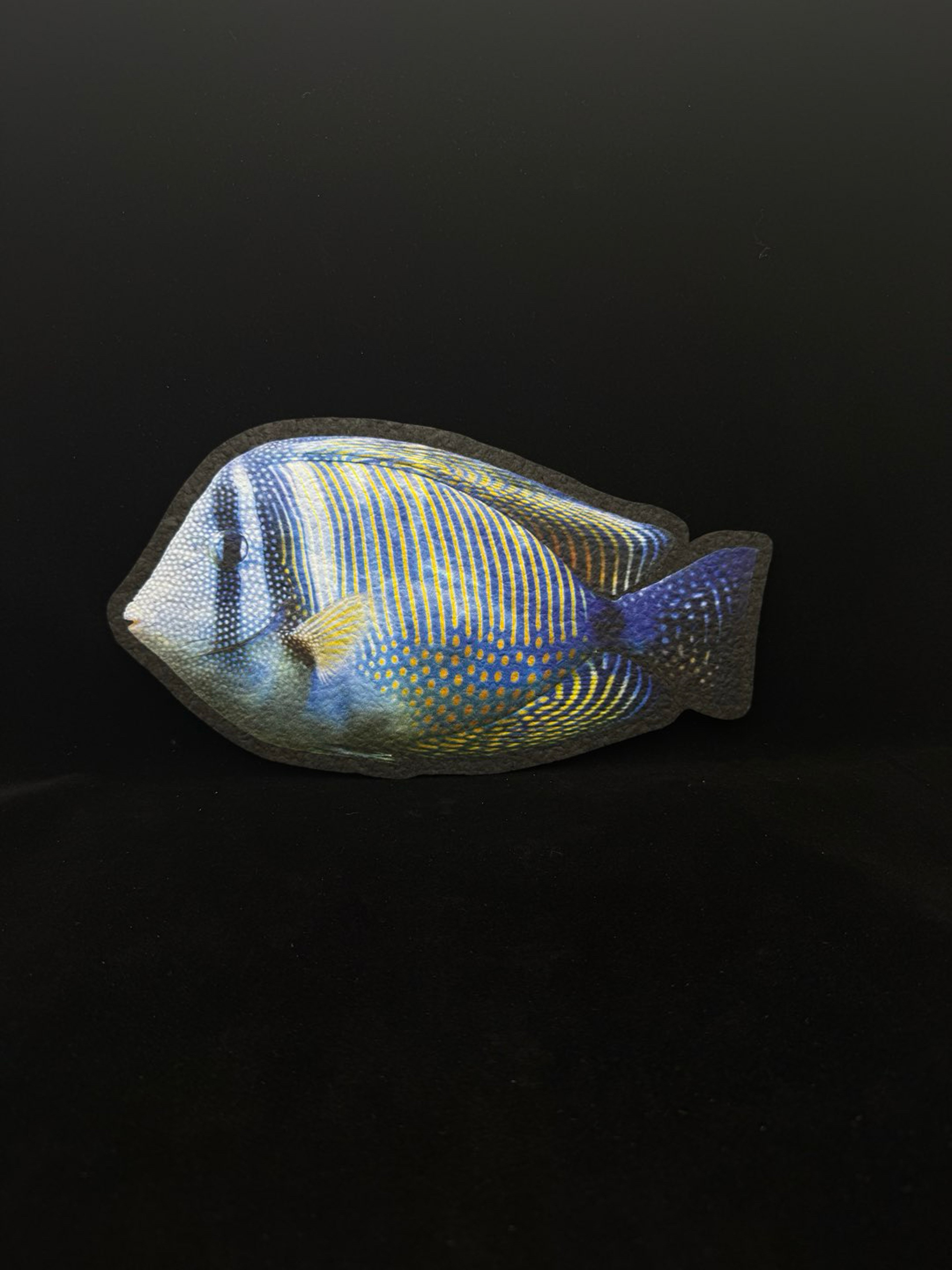 Preview pic of Sailfin Tang by Moodmats