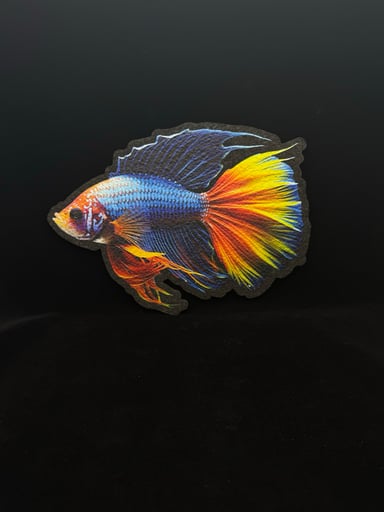 Preview pic of Beta Fish Moodmat