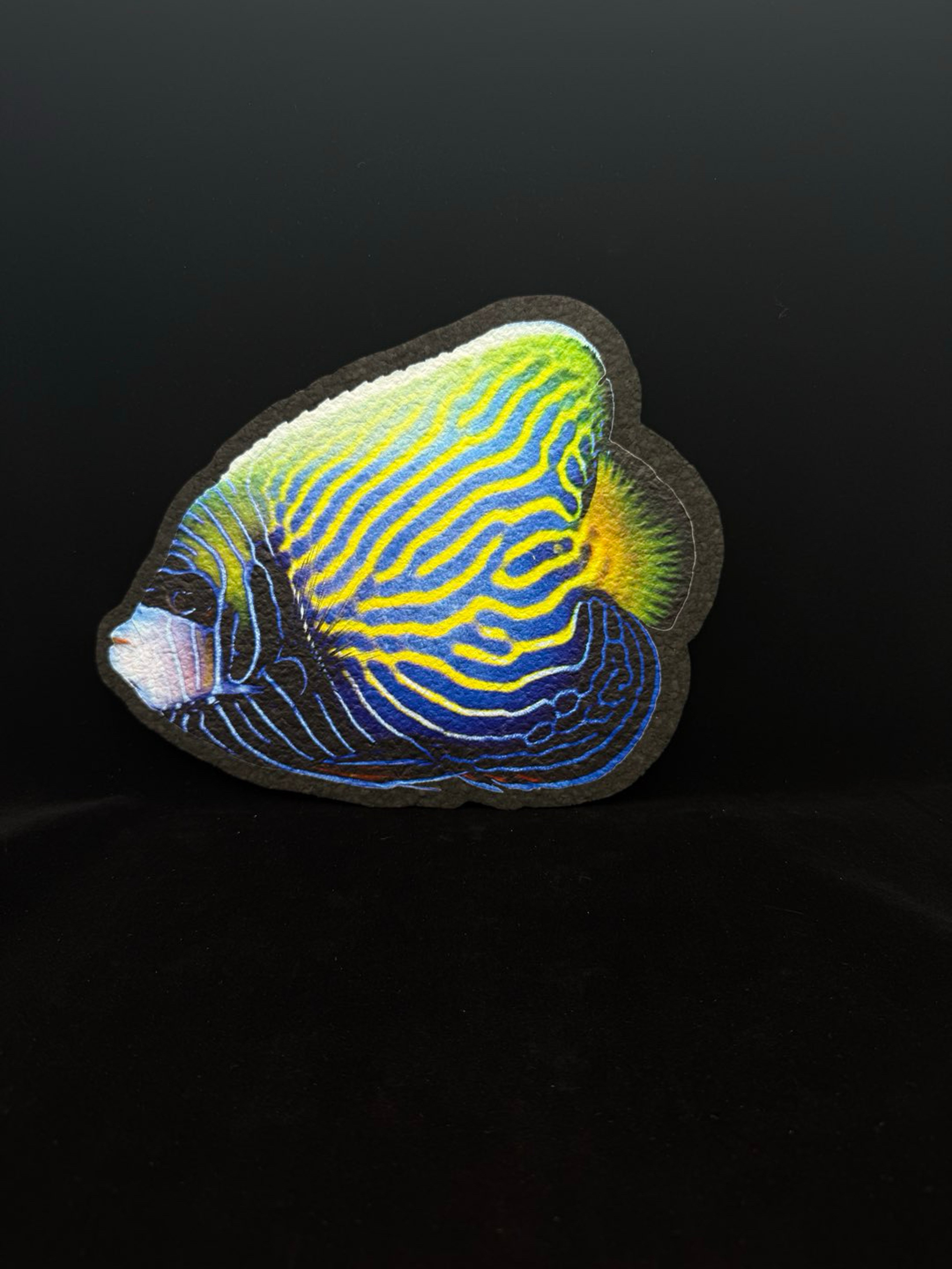 Preview pic of Bundle: Fish Moodmats