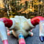 Small image 6
