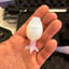 Small image 5