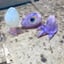 Small image 7
