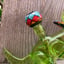 Small image 6