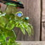 Small image 5