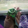 Small image 3