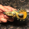Small image 1