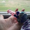Small image 6