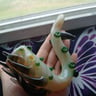 Small image 3