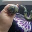 Small image 3