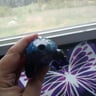 Small image 3