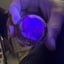 Small image 7