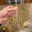 Small image 5