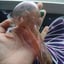 Small image 2