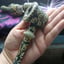 Small image 7