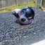 Small image 5