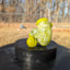 Small image 9