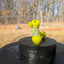 Small image 8