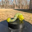 Small image 5