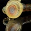 Small image 7