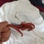 Small image 5
