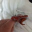 Small image 6