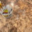Small image 7