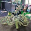 Small image 4