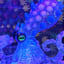 Small image 8