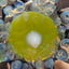 Small image 6