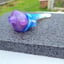 Small image 6