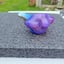 Small image 5