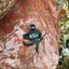 Small image 6
