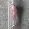 Small image 3
