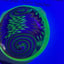 Small image 5
