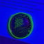 Small image 7