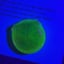 Small image 6