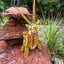 Small image 9