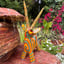 Small image 5