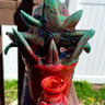 Small image 5