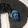 Small image 1