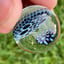 Small image 6