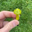 Small image 8