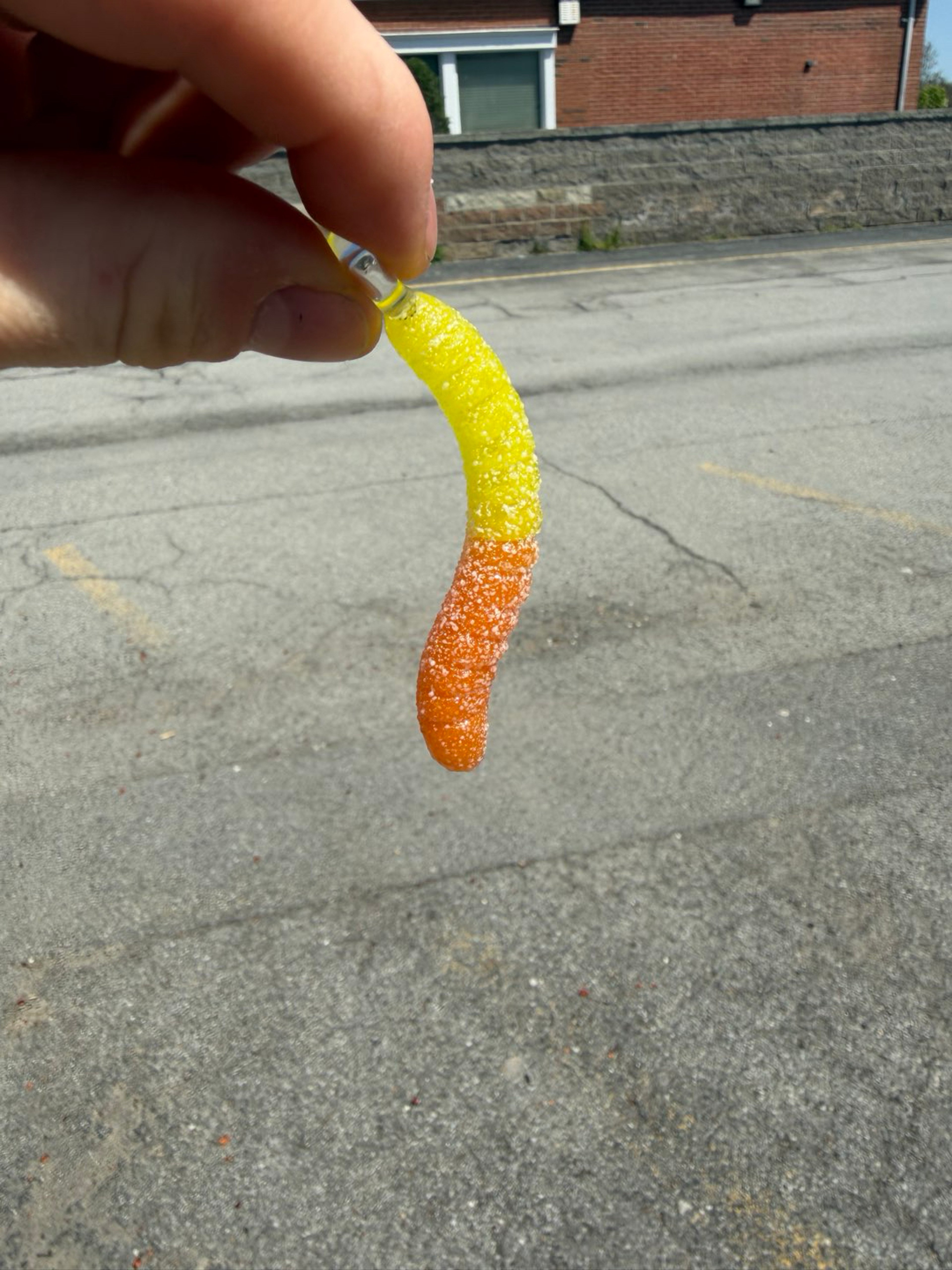 Preview pic of Emperial glass gummy worm pendant