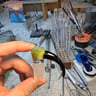 Small image 0