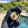 Small image 1