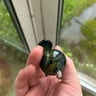 Small image 5