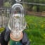 Small image 7