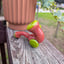 Small image 3
